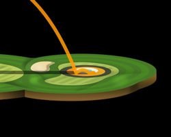 Golf Simulator